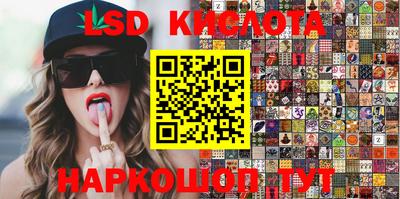 стафф Камышлов