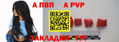 стафф Камышлов