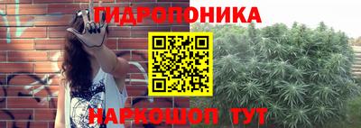 меф Кандалакша