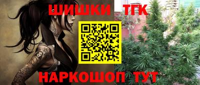 стафф Камышлов