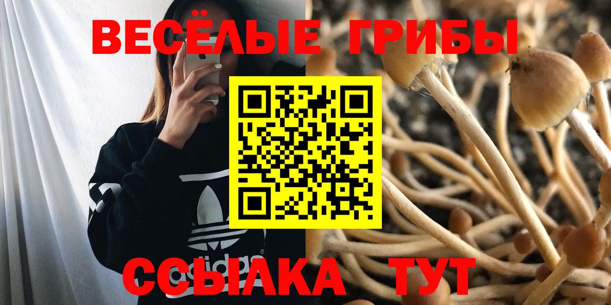 Галлюциногенные грибы мухоморы Михайловка